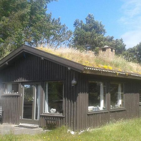 Konkylien Villa Pandrup Esterno foto