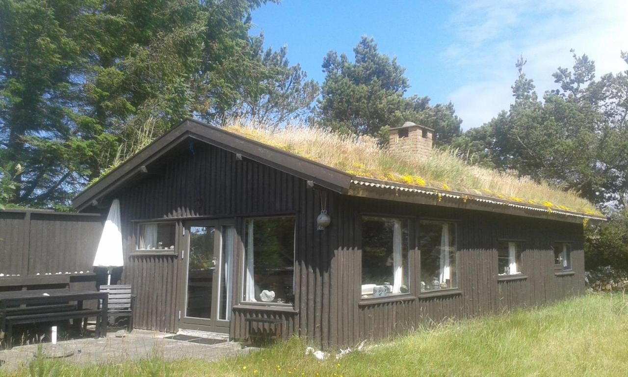 Konkylien Villa Pandrup Esterno foto